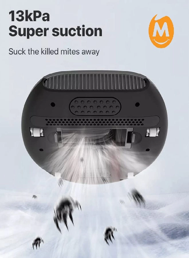 Dust Mite Vacuum Cleaner