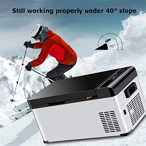 mini electronic freezer - 12V 24V 220V