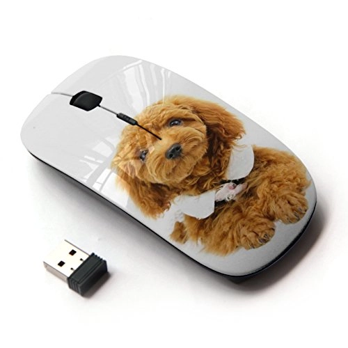 Optical Mouse - Wireless