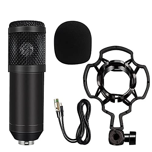 Bm-800 Wired Microphone
