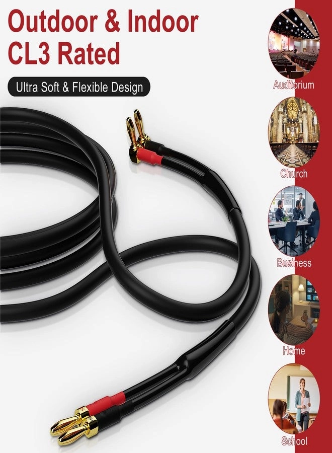 Speaker Cable - 40 Ft