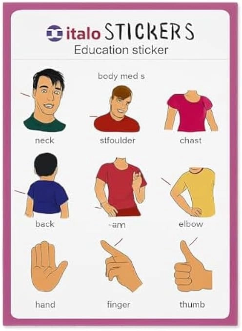 FITTO Body Parts Stickers - Human Anatomy Waterproof