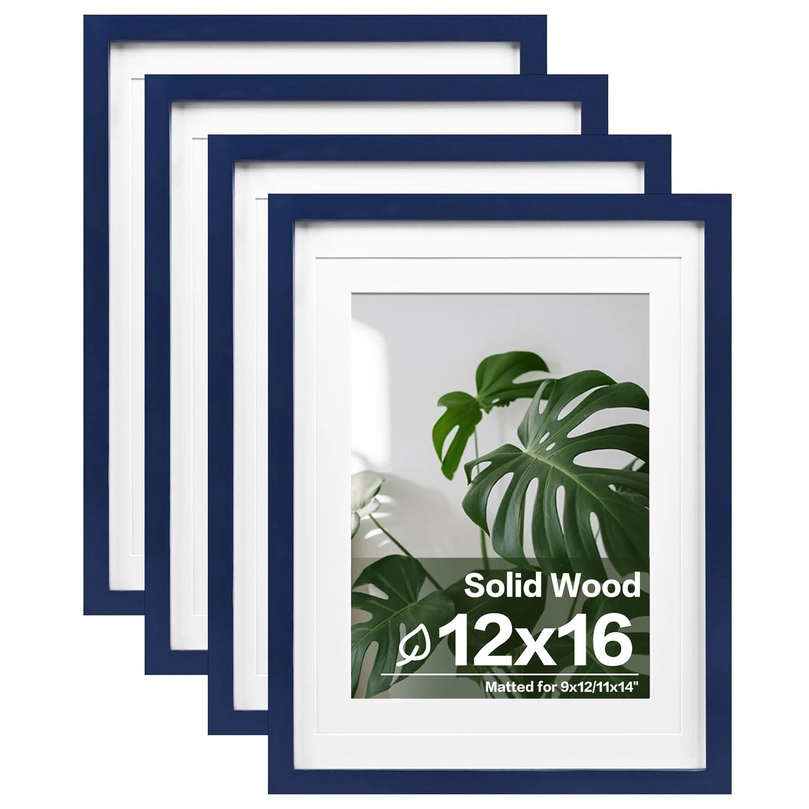 picture frames - 12x16