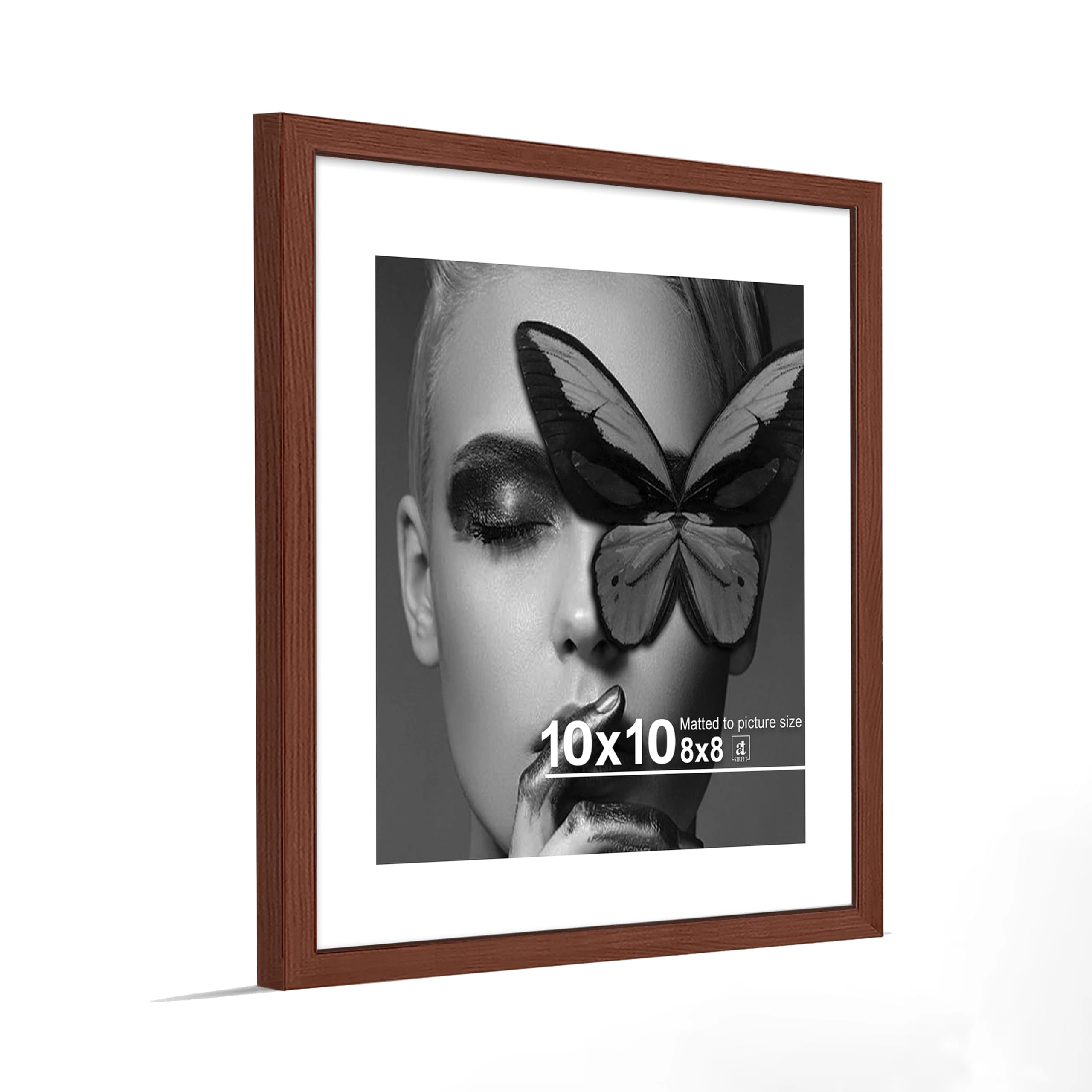 Document Frame - 10x10 Inch