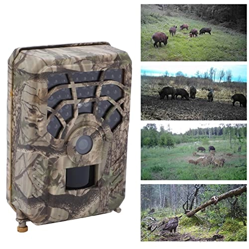 Hunting Camera - 24 megapixel
