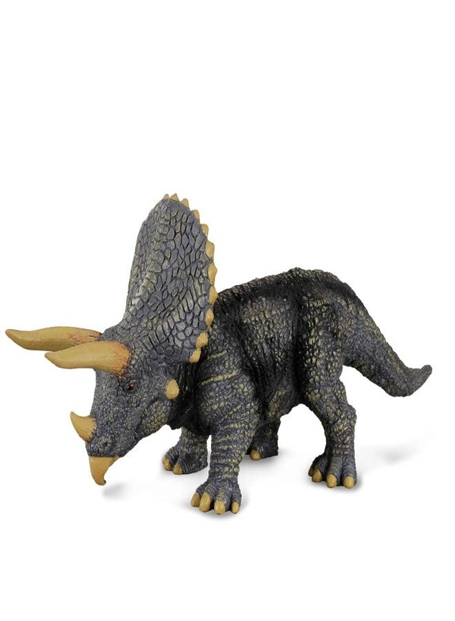 Prehistoric Life - Triceratops