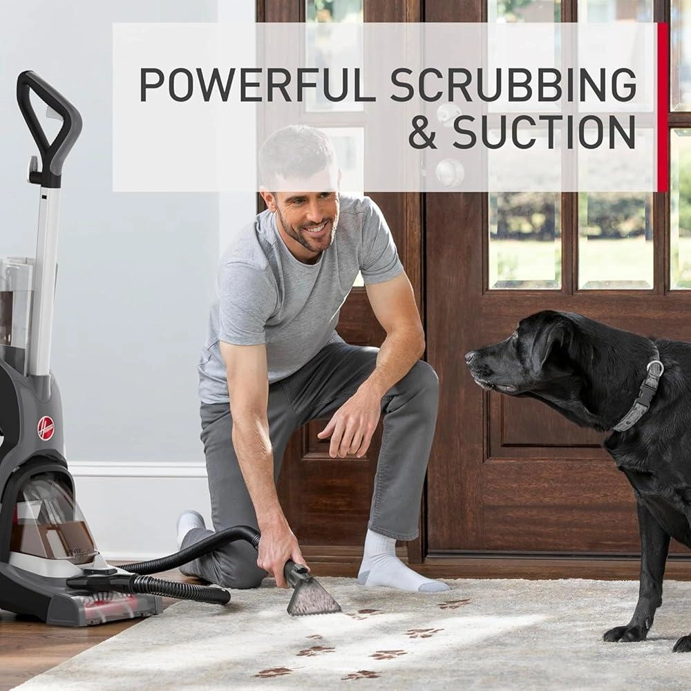 PowerDash Compact - Carpet & Upholstery 800W