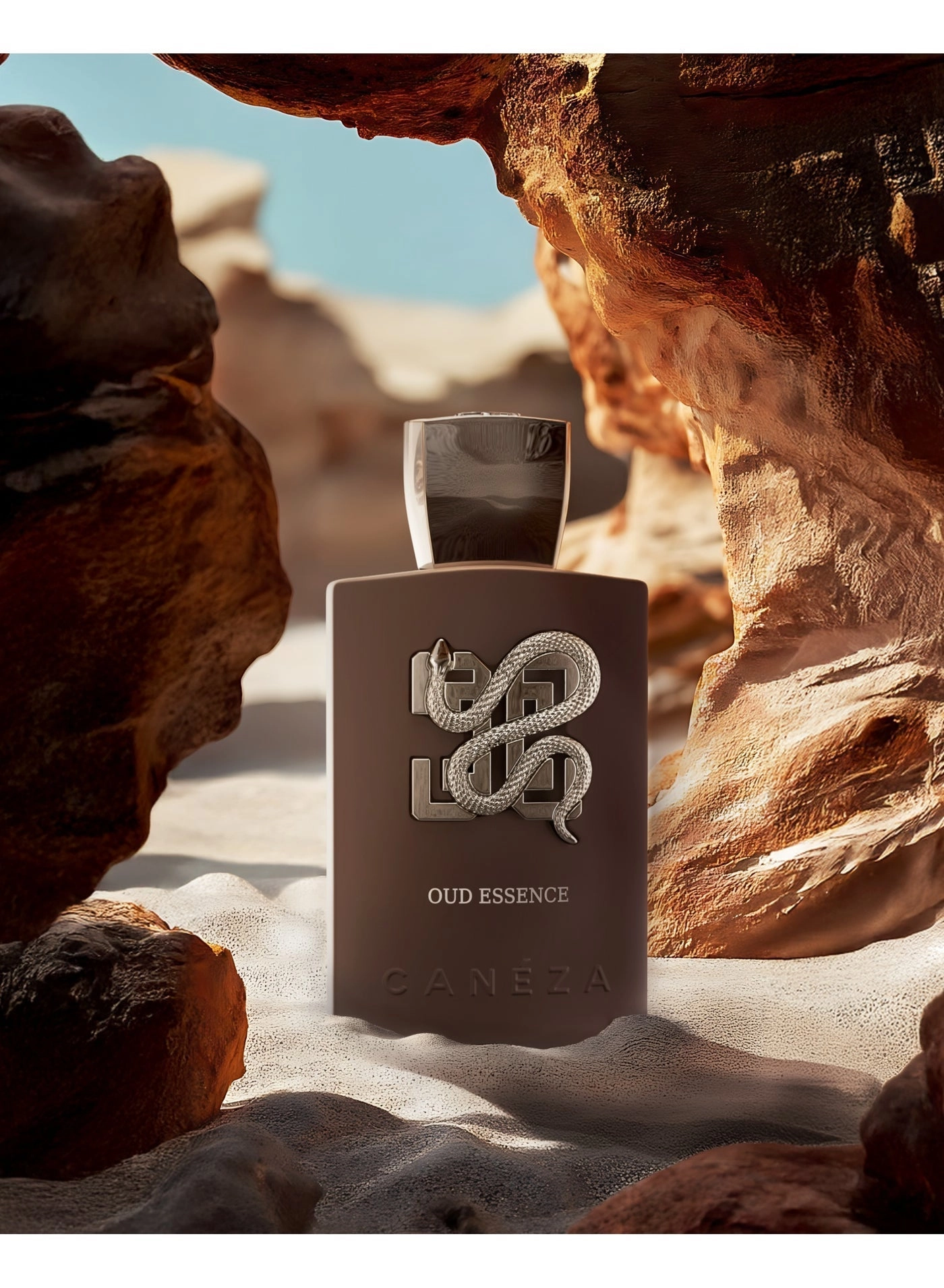 Oud Essence Eau de Parfum 100ml