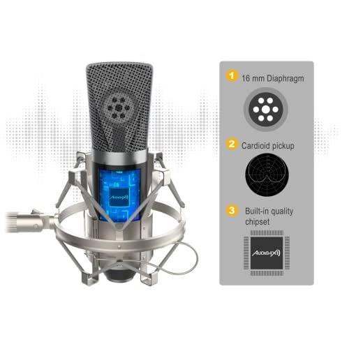Berlin 1800 XLR Microphone