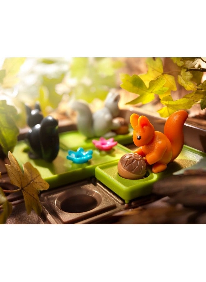 Squirrels Go Nuts - Travel Game 60 Challenges