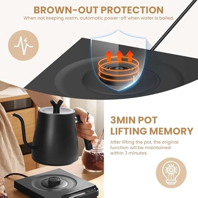 Gooseneck Electric Kettle