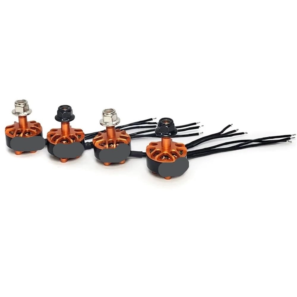 Brushless CW CCW Motor