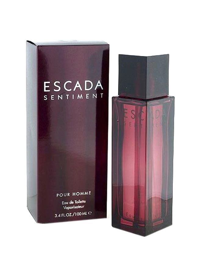Sentiment Eau de Toilette 100ml