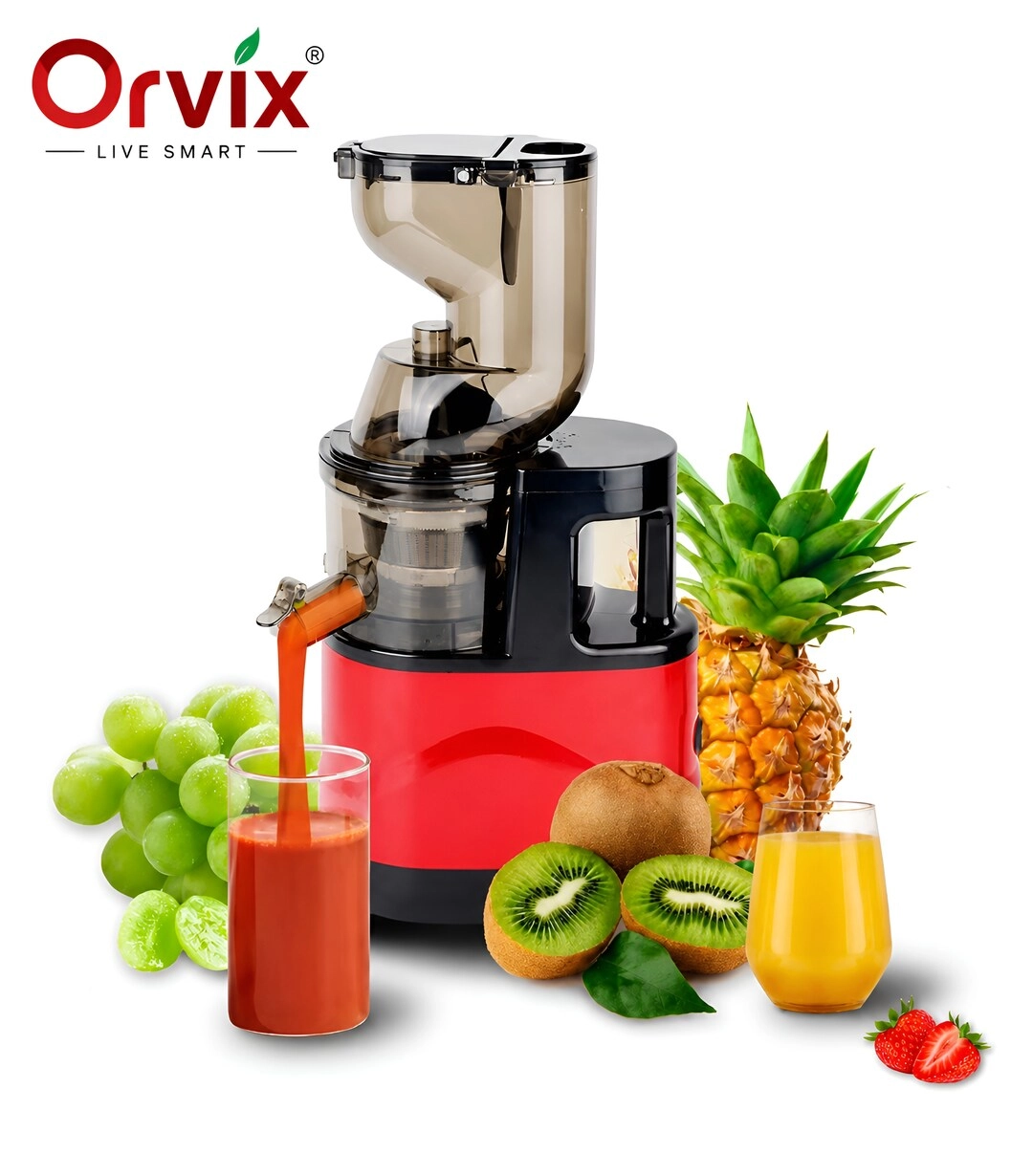 Orvix Professional Whole Slow Juicer