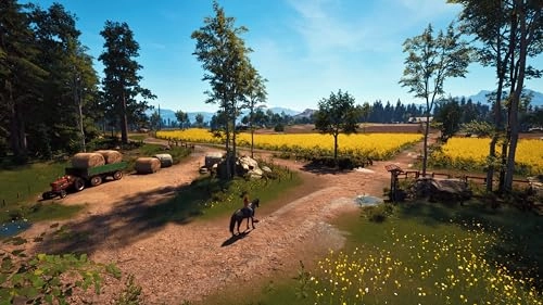 Windstorm: Start of a Great Friendship Remastered - PlayStation 5