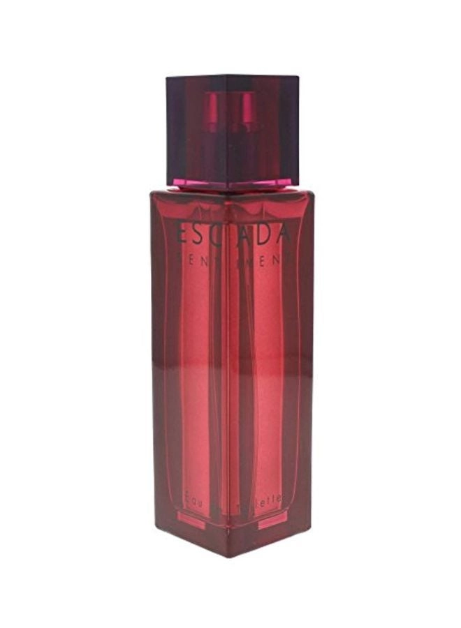 Sentiment Eau de Toilette 100ml