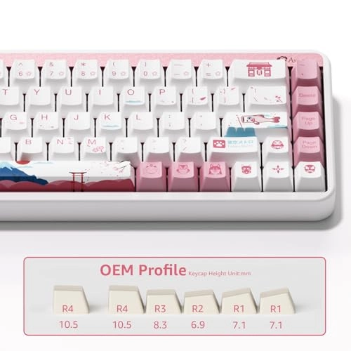 JIN01 - Wired/Wireless