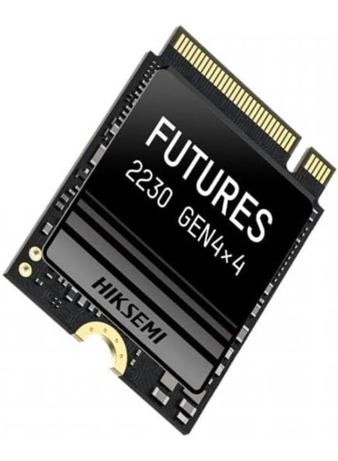 Hiksemi FUTUREX - 2048GB