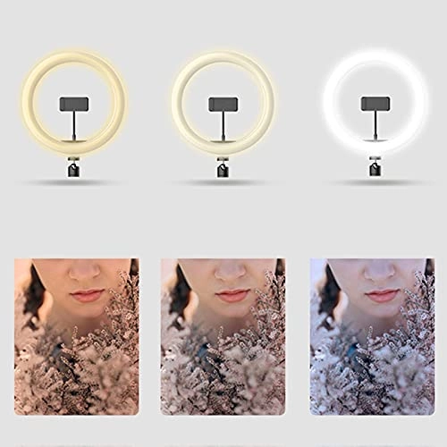 Ring Video Fill Light - 26cm