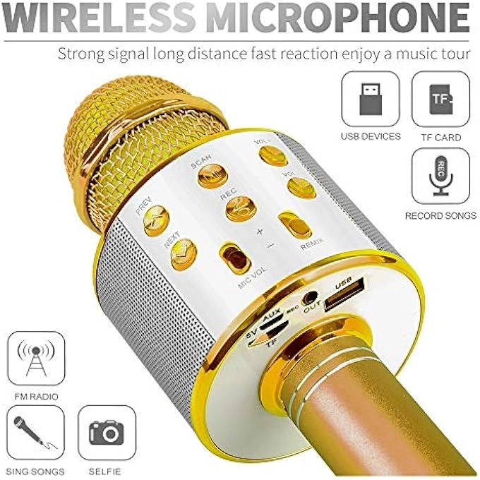 WIRELESS MICROPHONE - 4-12 years+