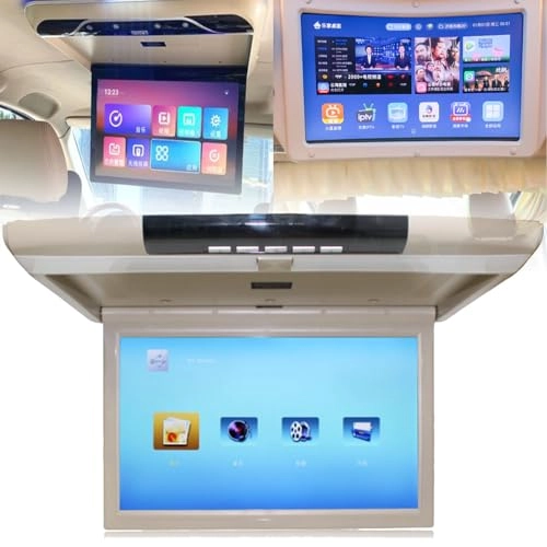 MP5 Ceiling Display - 17.3 Inch