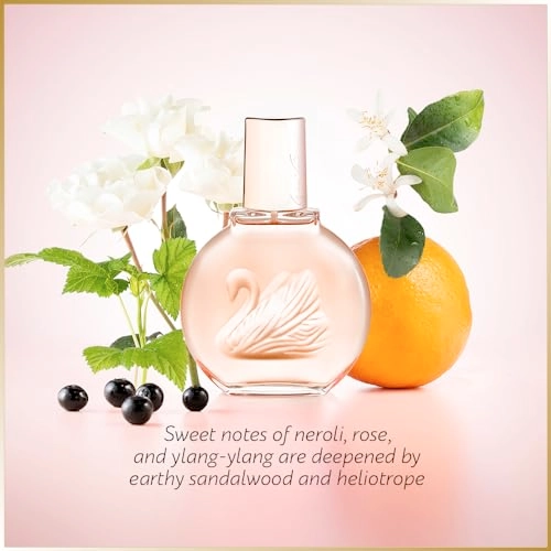 Vanderbilt Eau de Toilette 100 ml