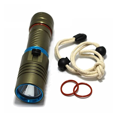Professional Submersible Light