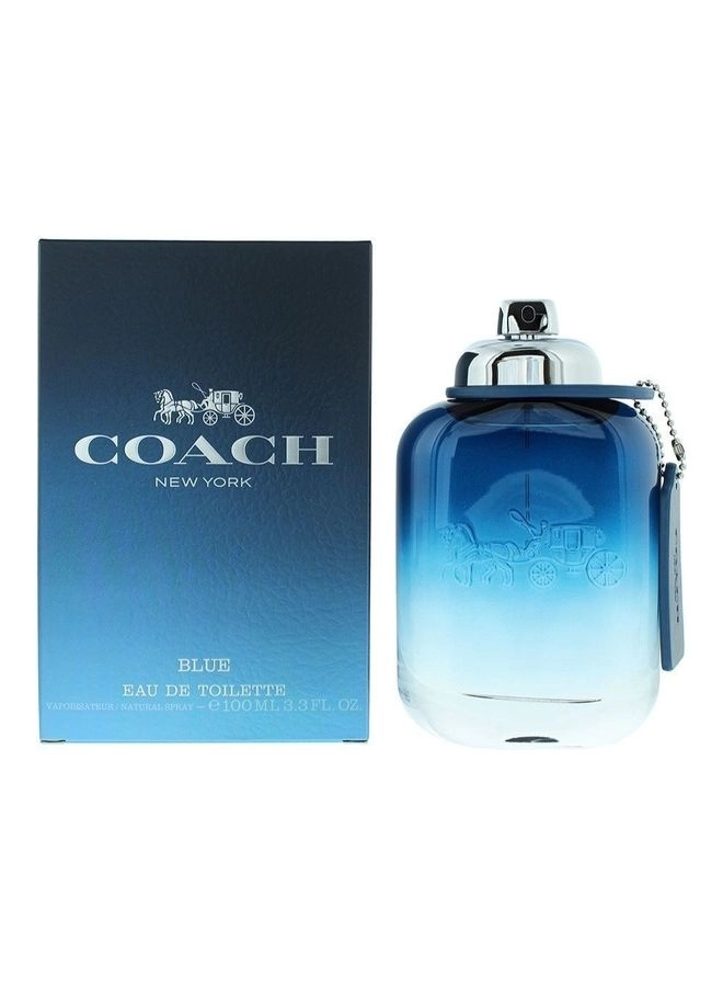 Blue M - Eau de Toilette 100 ml