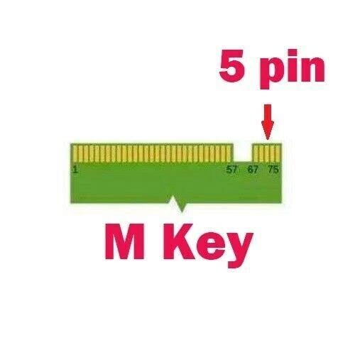 BG5 - 256 GB M.2 2230