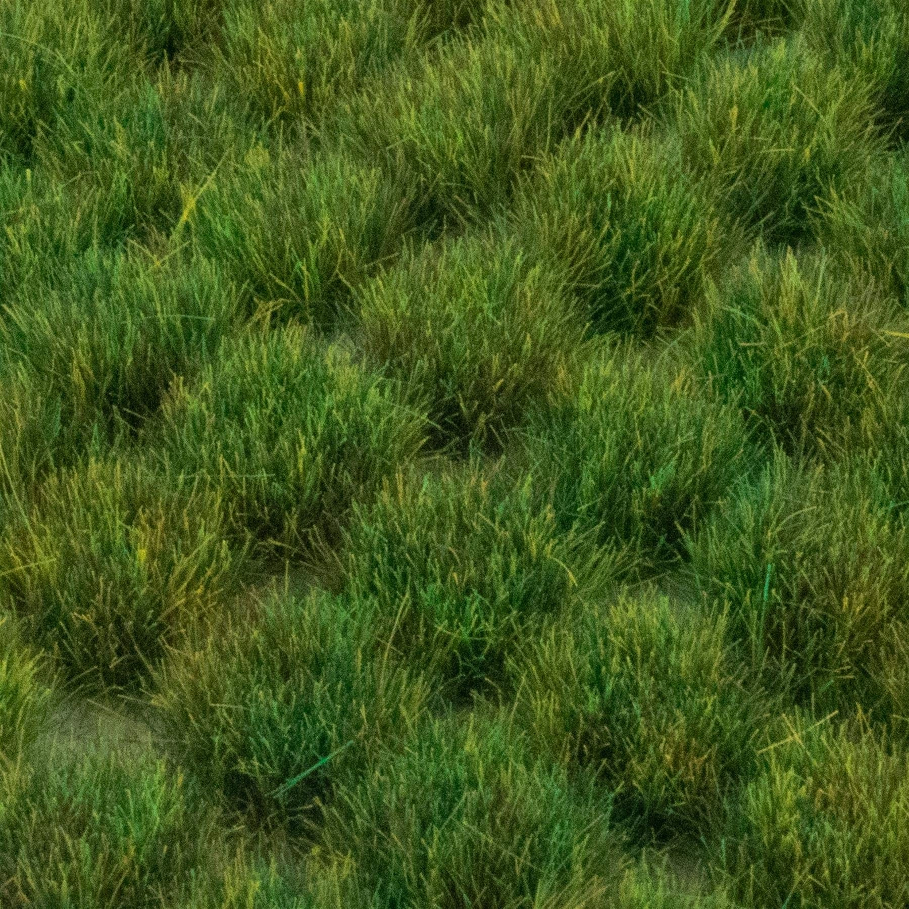 Self Adhesive Static Grass Tufts - 100