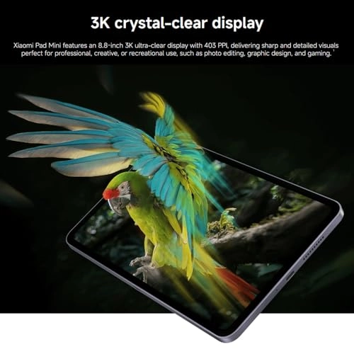 Pad Mini - 512GB 8.8"