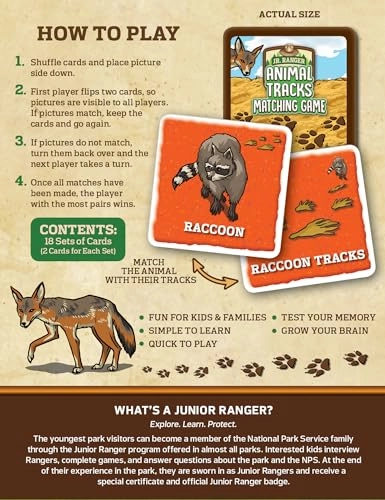 Jr Ranger - 3+ 1 pieces