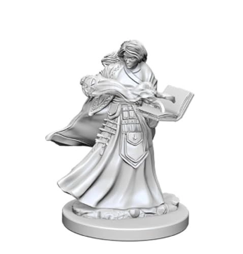 WizKids Human Female Wizard