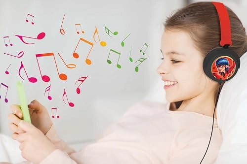 HPBT010MI Wireless Headphone