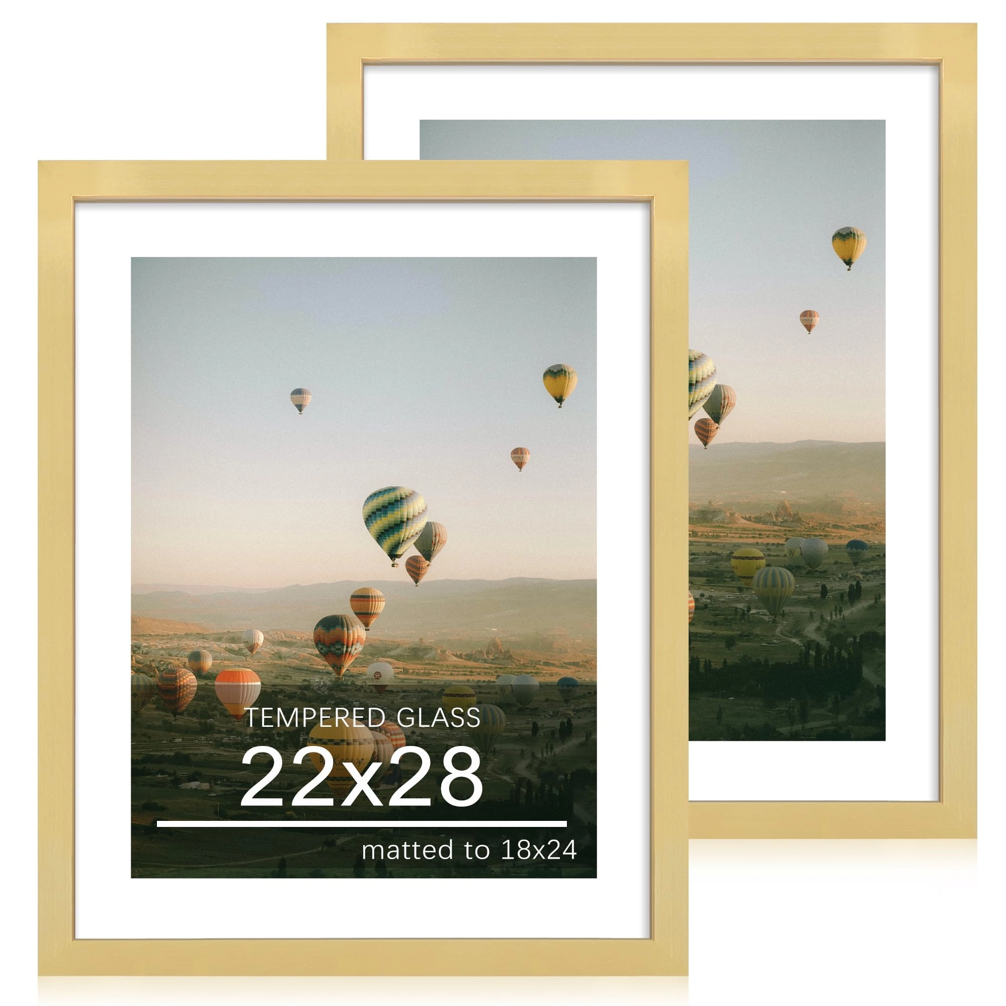 Picture Frame - 22x28