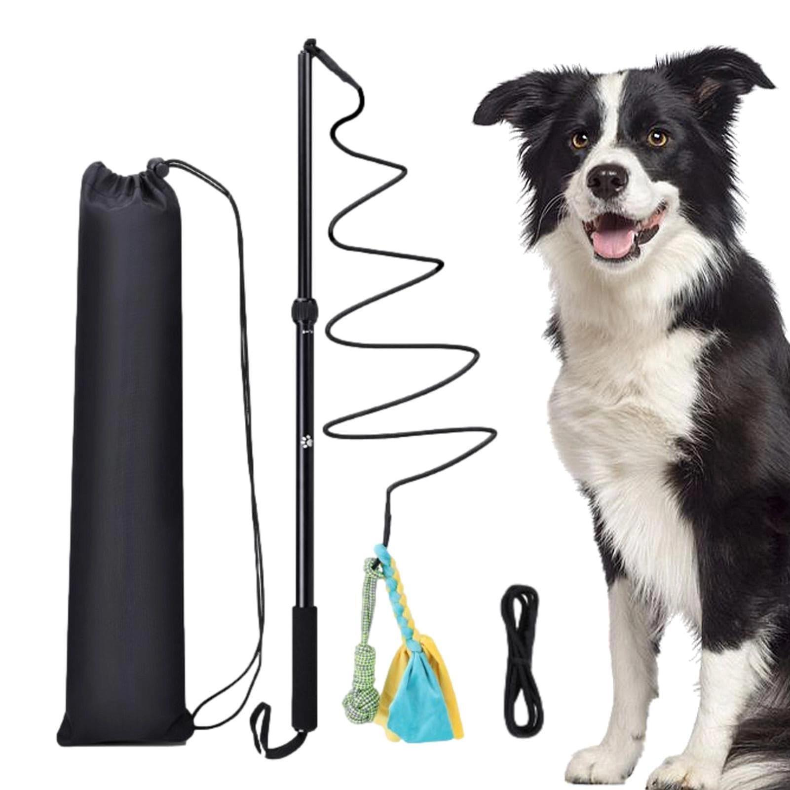 MXLBM Pet Flirt Stick Puppy
