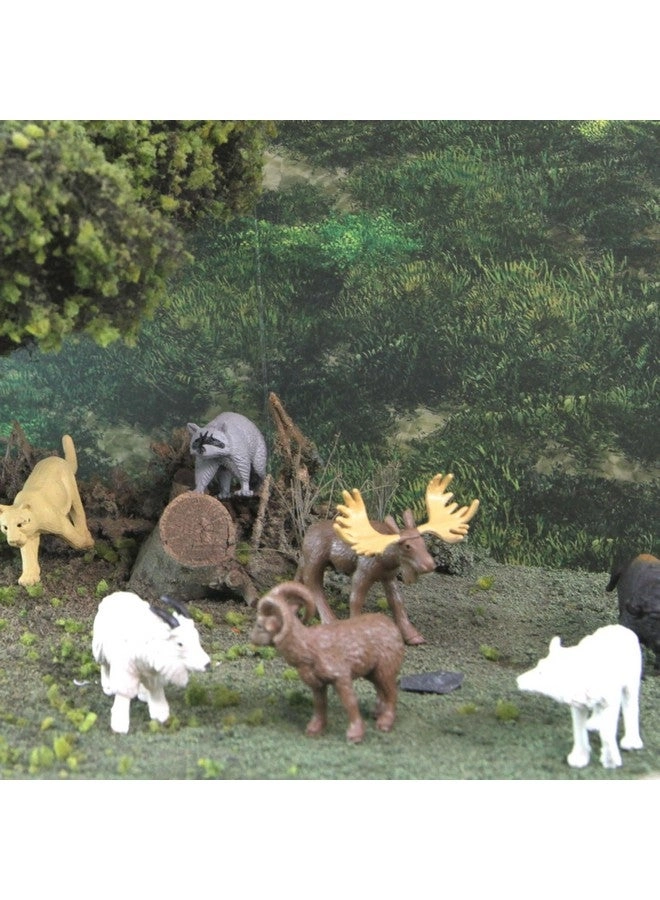North American Wildlife TOOB - 3+ 12 pieces