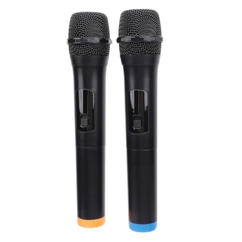 8fl42bxhce - 2 microphones 2.4G