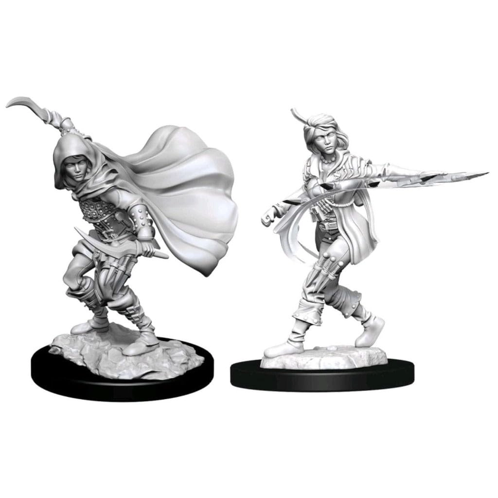 WizKids Pathfinder Deep Cuts: Human Rogue Female - 6 Units