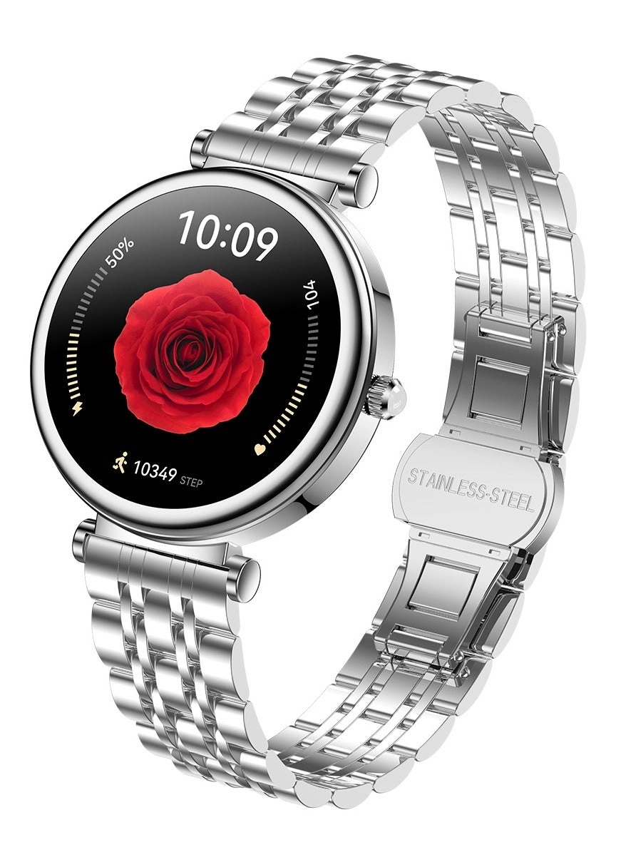 RollsTimi RT-I110 Stainless Steel