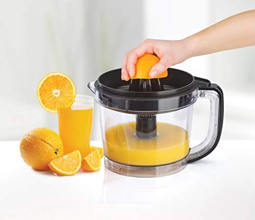 FX810 - 5 Liters 800 watts