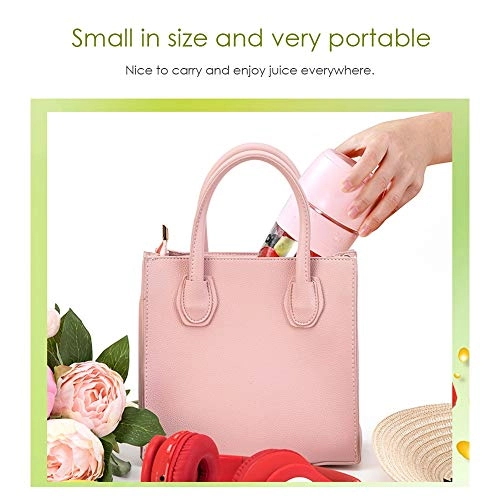 Portable Glass Blender - 380ml