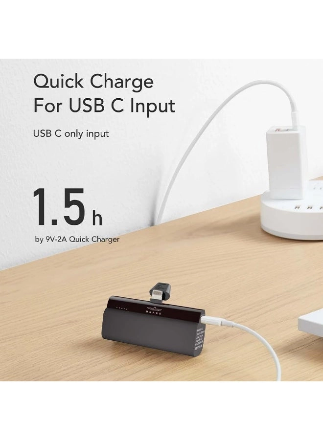 Mini - 5000 Watt-hour 20 Watt