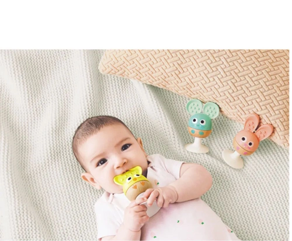 Cheery Critter - Teether Rattle Suction Cup 3 Pcs