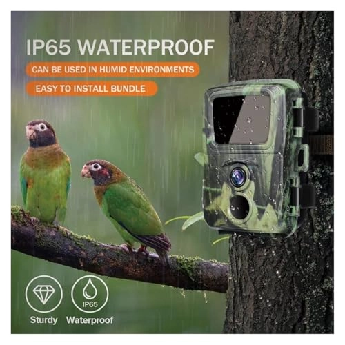 Wildlife Camera - 20MP