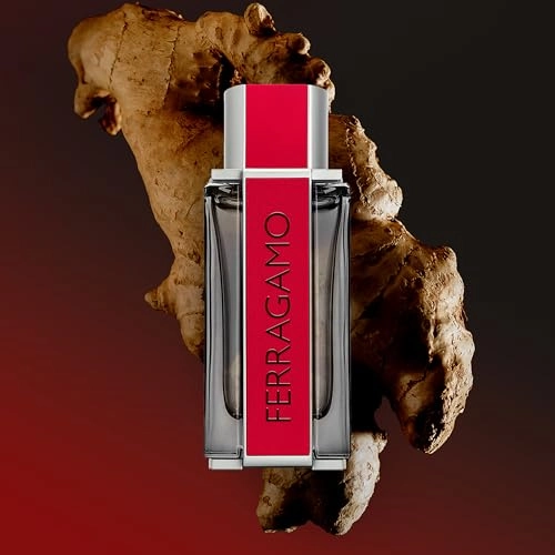 Red Leather Eau de Parfum 100 ml