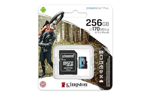 Canvas Go Plus - 256 GB