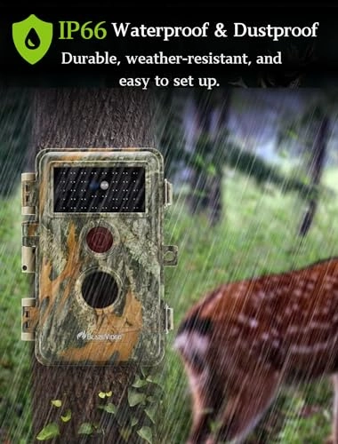 TrailCam-Basic - 16MP