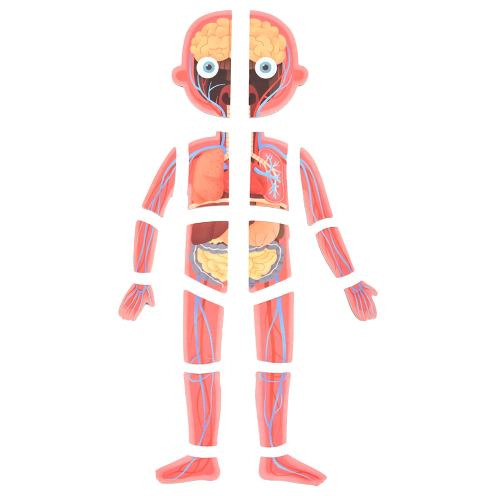 Body Magnetic Puzzle (TOP-CT7013) - 90 pcs