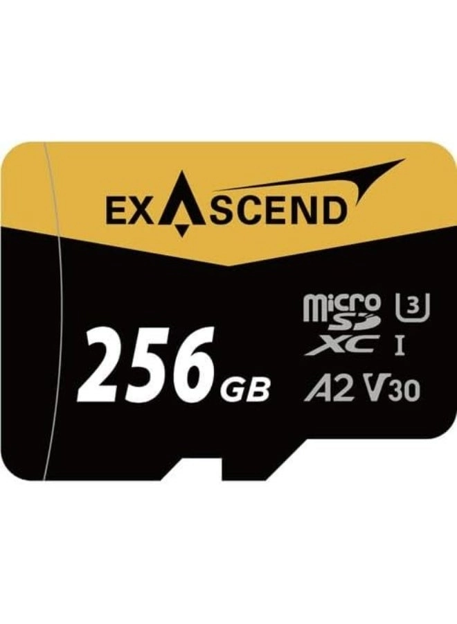 Exascend Catalyst - 256GB